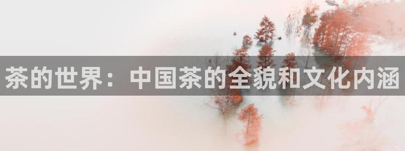 摩登7平台帐7O777