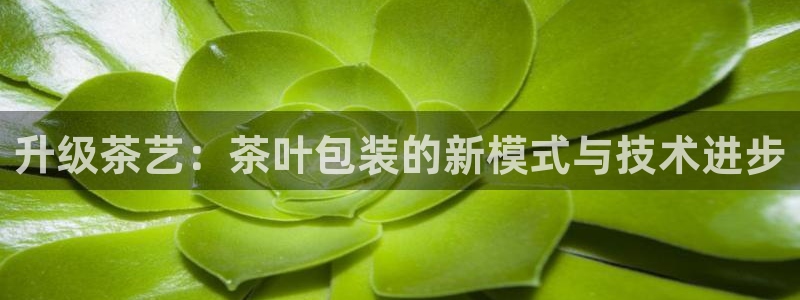 摩登7直属