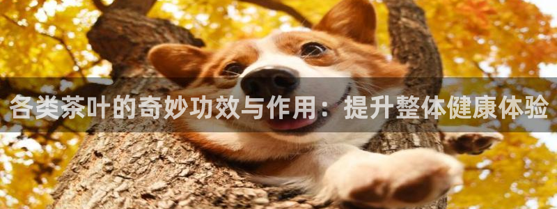 摩登7点