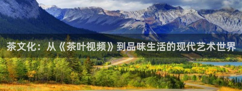 华彩7级摩登
