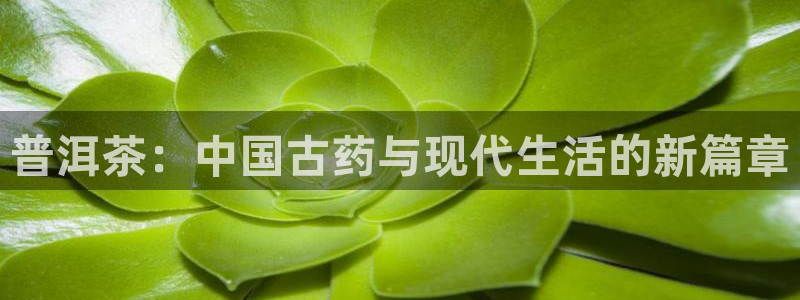 摩登7平台咱7O777