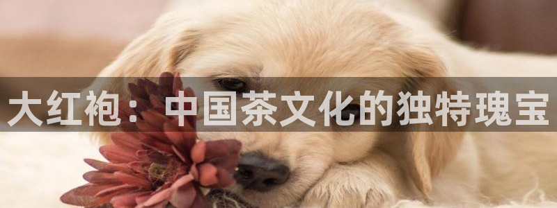 摩登5施7O667