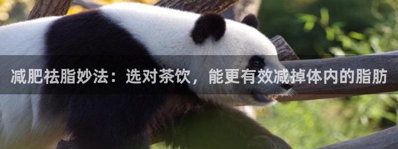 摩登7升
