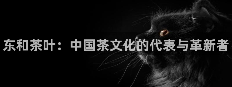 摩登5吕7O667