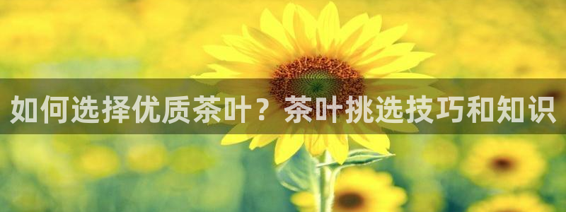 摩登7点