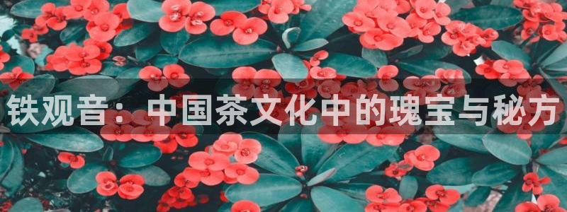 摩登5左7O667