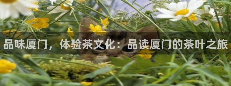 摩登7彩票平台是啥
