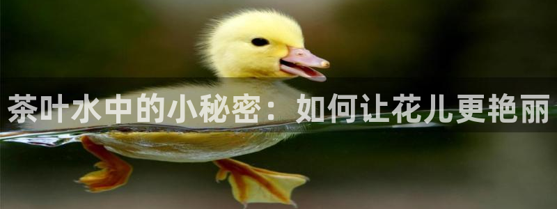 摩登7官方联系方式