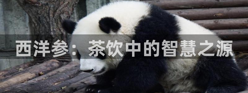 摩登7网彩正规吗