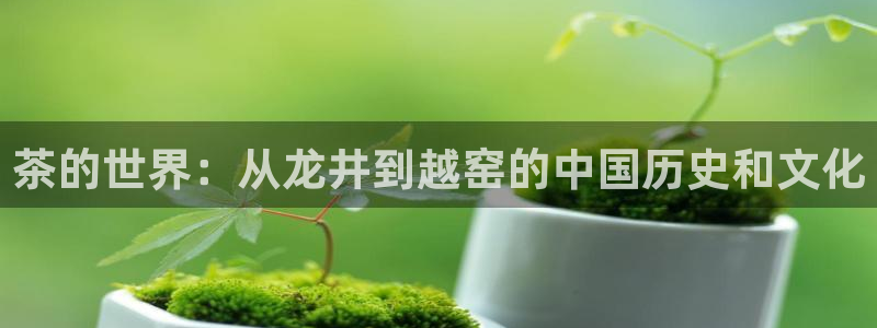 摩登7右
