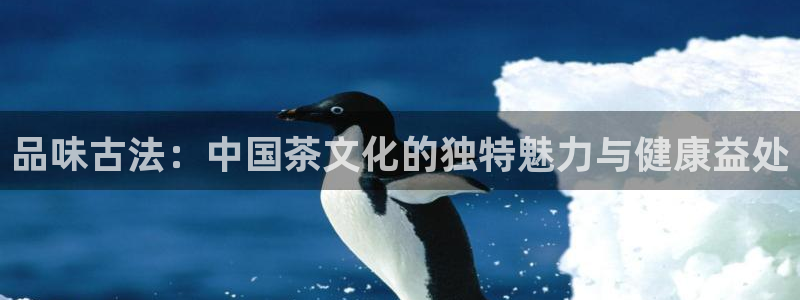 摩登7后