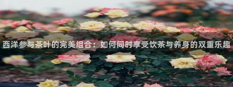 摩登7夜判官333OO