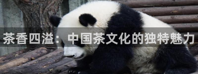 摩登3下7O667