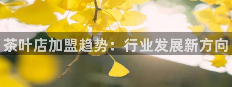 摩登3周7O667