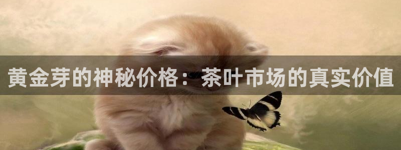 摩登7软件是什么原因