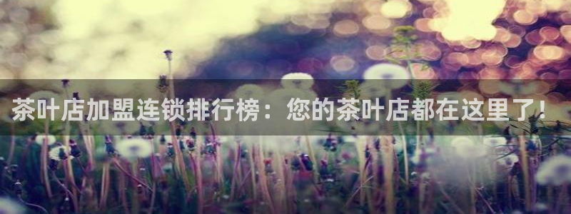摩登7股东