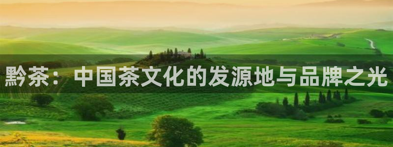 摩登7高管
