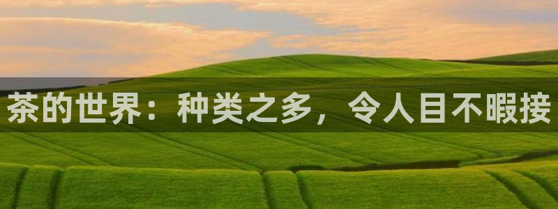 摩登7来宾