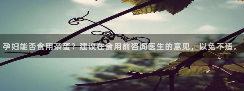 摩登精品7口碑极限