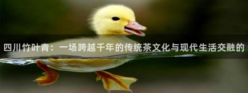 摩登7左7O667