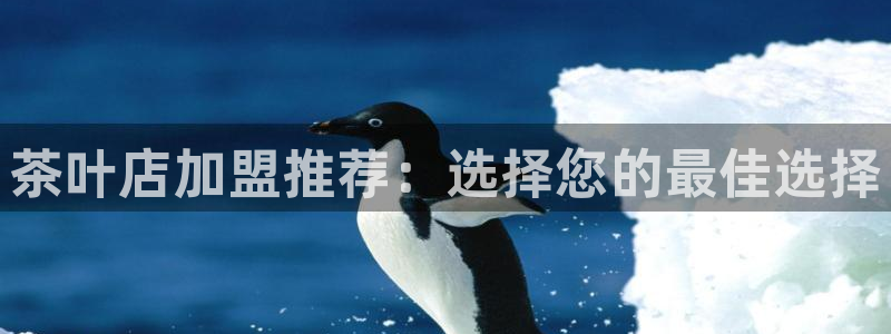 摩登7登陆平台
