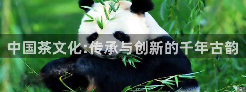摩登7平台下载