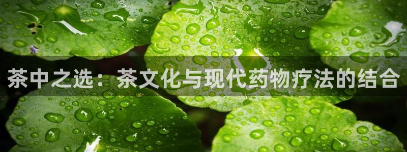 摩登7平台代理