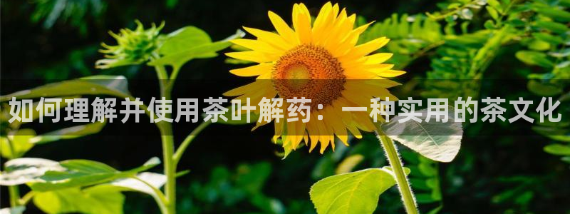 摩登3前7O667
