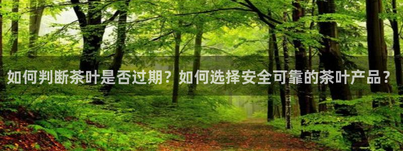 摩登6冯这7O667