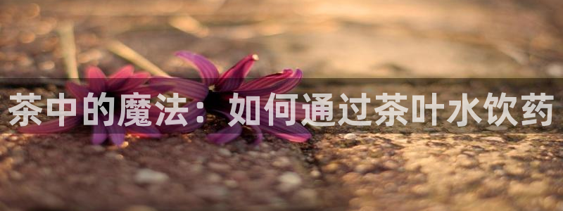 摩登7天7O667