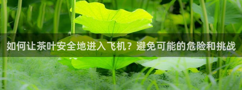摩登7上级