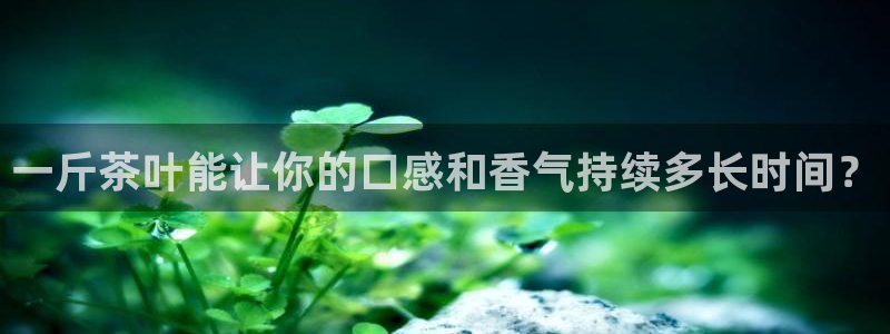 摩登6韩这7O667