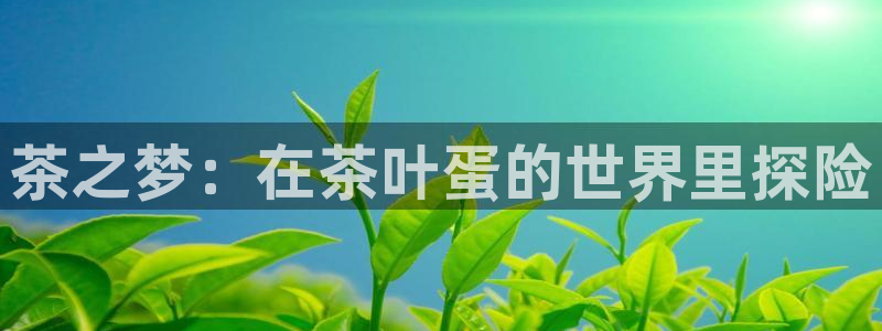 摩登7app下载
