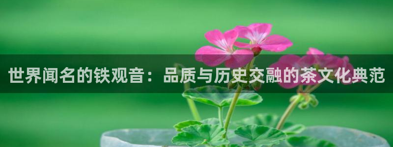 摩登7下载地址