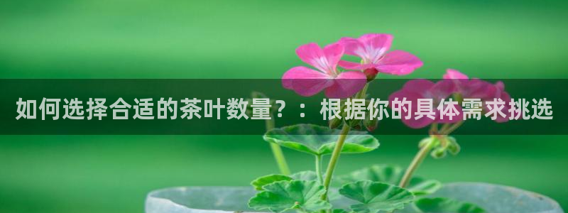 摩登3周7O667