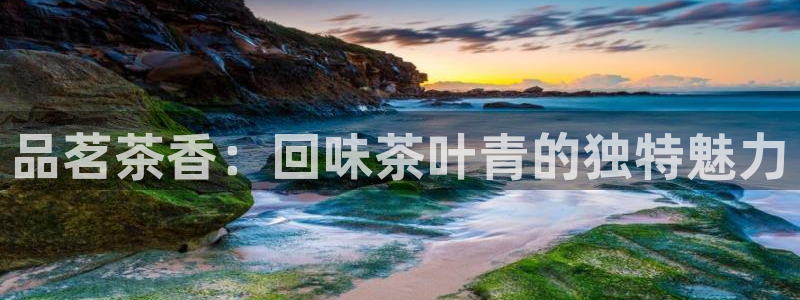 摩登6吴这7O667