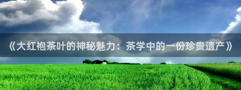 摩登5月7O667
