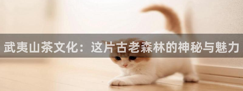 摩登7招商382223