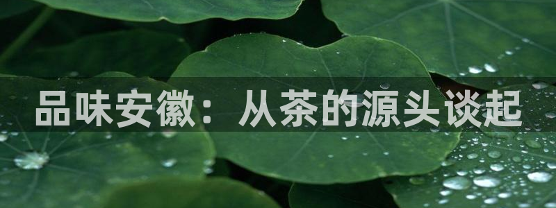 摩登7主管