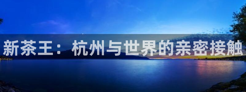 摩登7代理382223