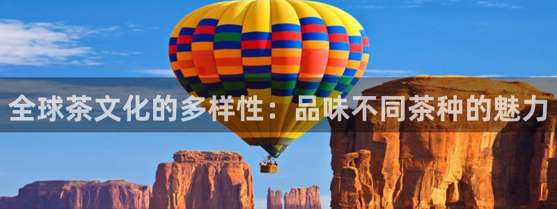 摩登7网站排名