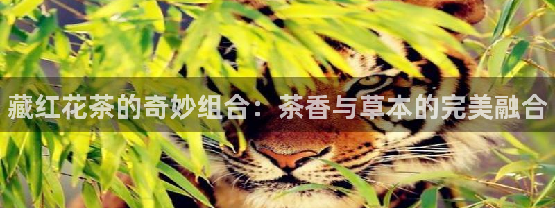 摩登5周7O667