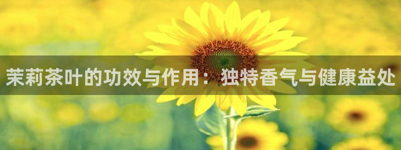 摩登招商臼金手指专业7