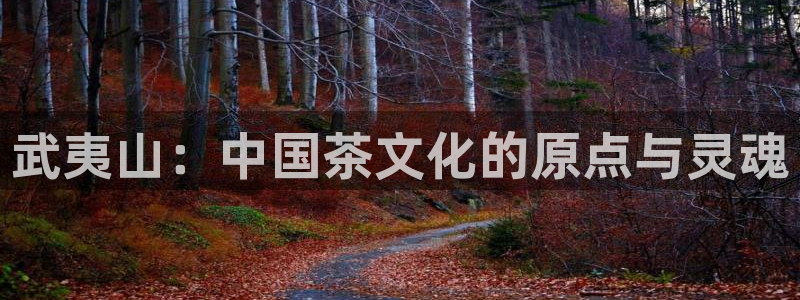 摩登7网站排名
