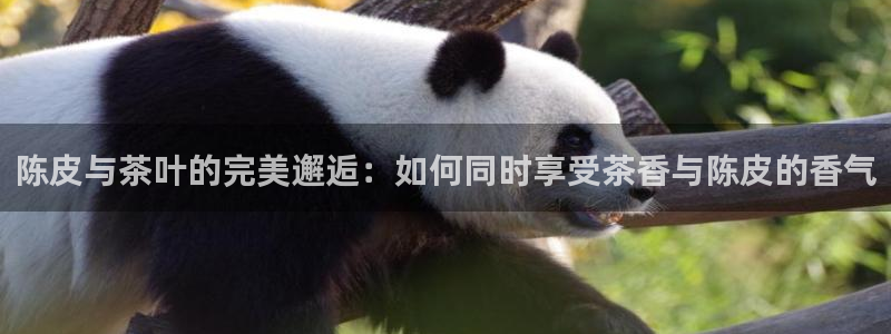 摩登招商7快22650