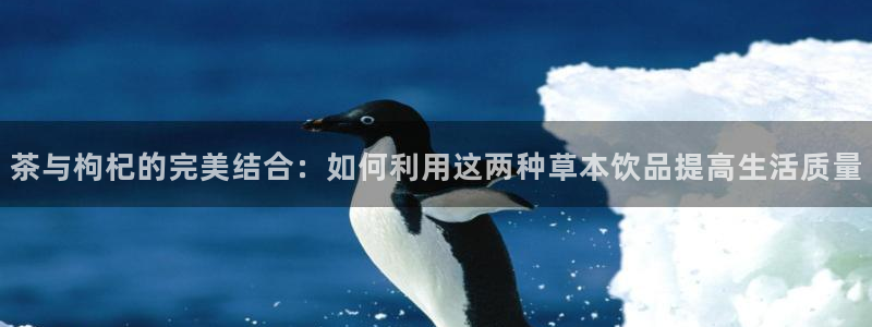 摩登6天7O667
