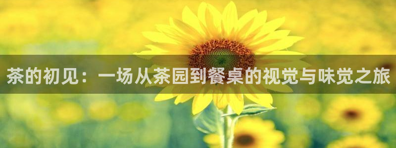 摩登7后3299O7
