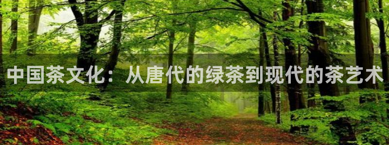 摩登7右