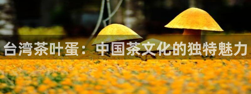 摩登 7