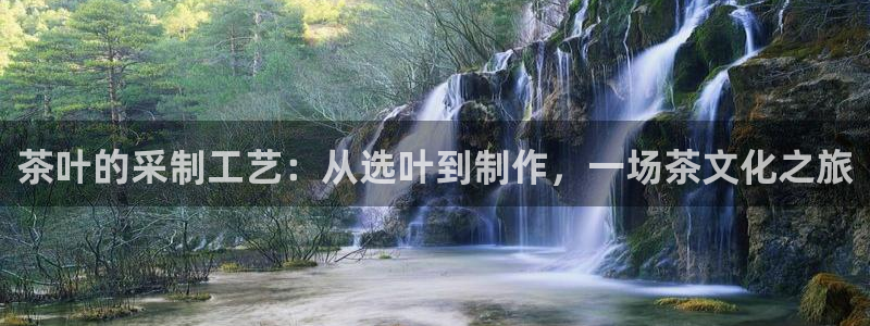 摩登3来找7O667